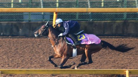 【日本ダービー 2020】最終追い切りを動画で解説井内利彰 競馬予想動画