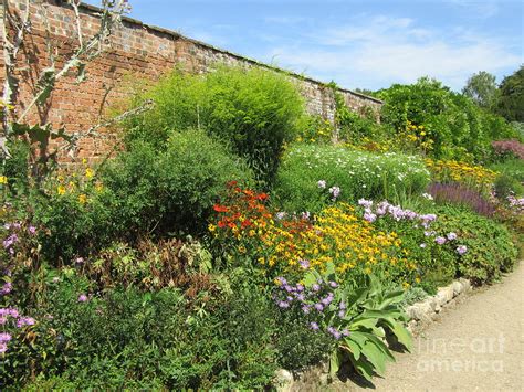 A Beautiful Herbaceous Border Photograph by Lesley Evered - Fine Art ...