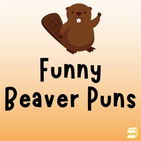 70 Beaver Puns That Are Too Dam Funny Box Of Puns