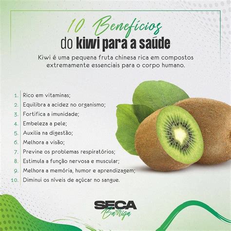 Qual Os Benefícios Do Kiwi - 6
