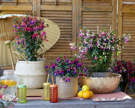 Bella Fuchsia inspiratie balkon en terras