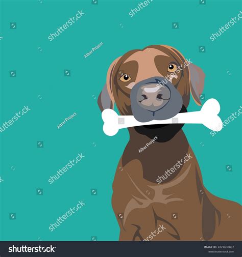 how to dog biting indoors 5