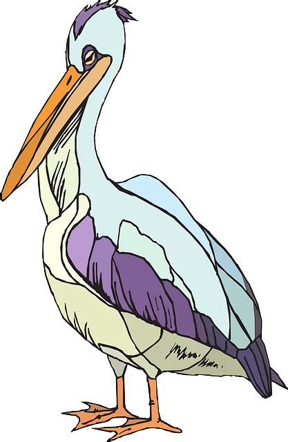 Pelican Clip art - others png download - 417*640 - Free Transparent ...