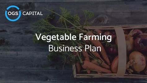 Vegetable Farming Business Plan [2024 edition] | OGScapital