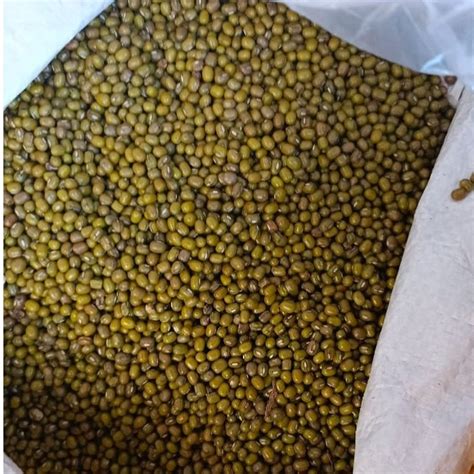 Sabut Green Moong Dal High In Protein Packaging Size Kg At Best