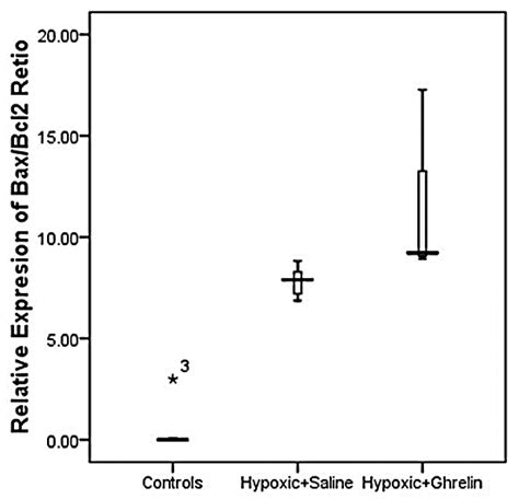 Relative Quantitative Rt Pcr Representing The Bax Bcl 2 Ratio In 3 Download Scientific