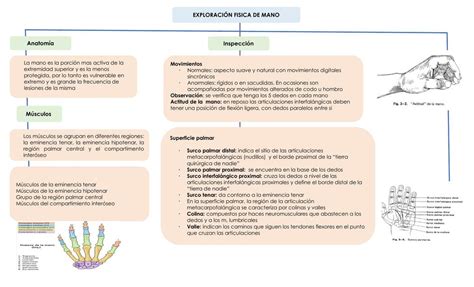 Exploraci N De Mano Selva Yazbeth Espinoza Villavicencio Udocz