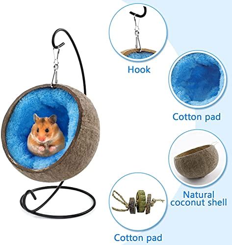 Hamac Cachette Pour Hamster En Noix De Coco Avec Jouet Molaire Maison