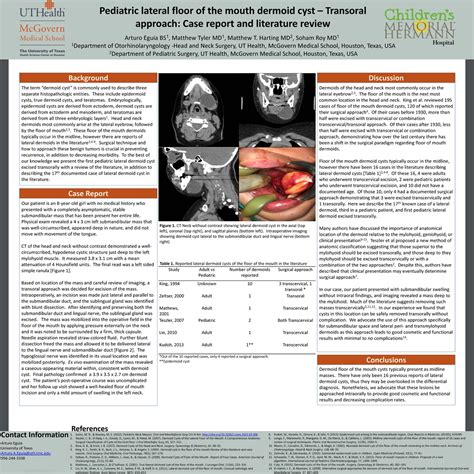 Uthealth Medical Students Make Presentations At International Sentac