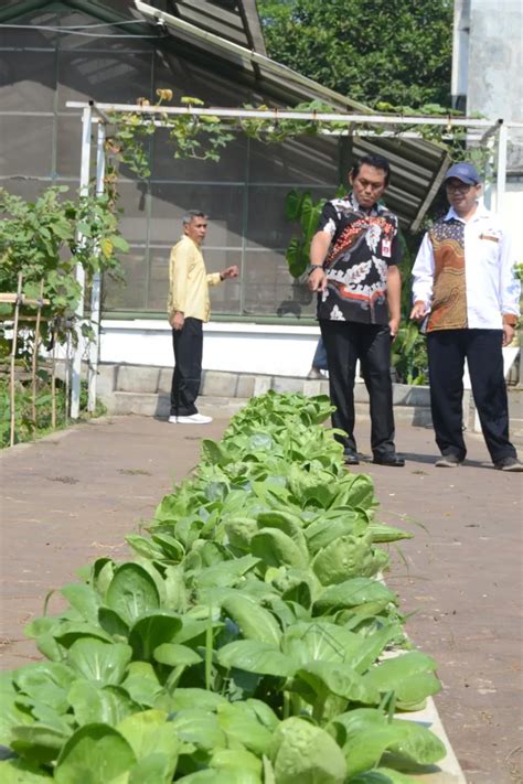 Dinas Ketahanan Pangan Dan Pertanian Kota Malang Panen Mini Food