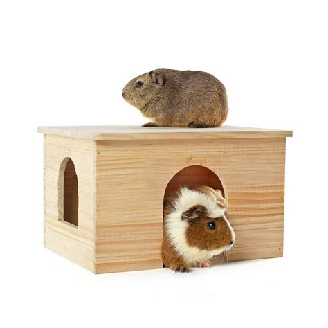 10 Best Guinea Pigs Hideouts Reviewed in 2024 | TheGearHunt