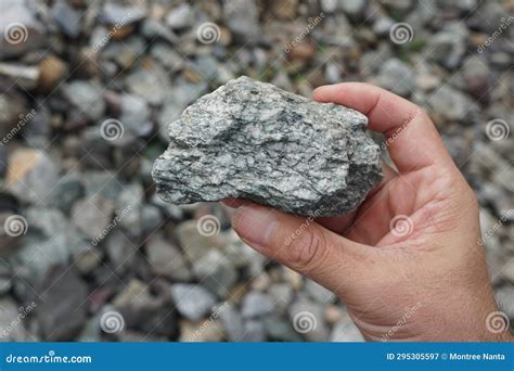 Raw Specimen Of Granite Igneous Rock Stone On Geologist S Hand Stock