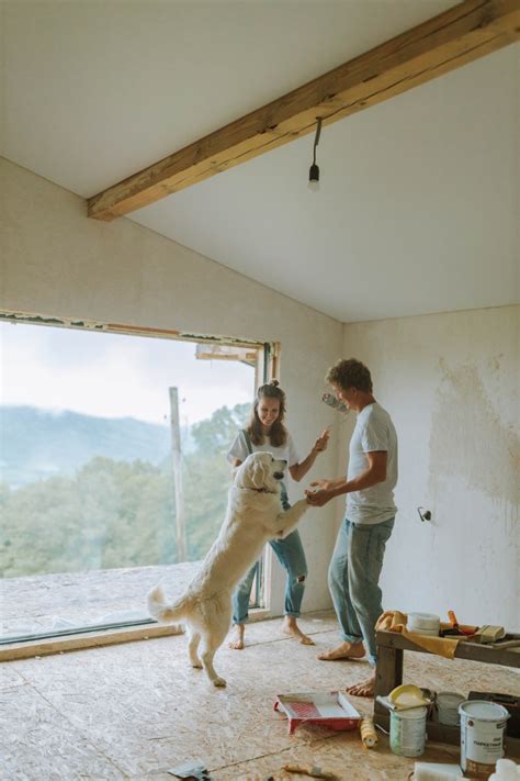 Renovating with Sustainability in Mind: Green Home Remodeling Tips 