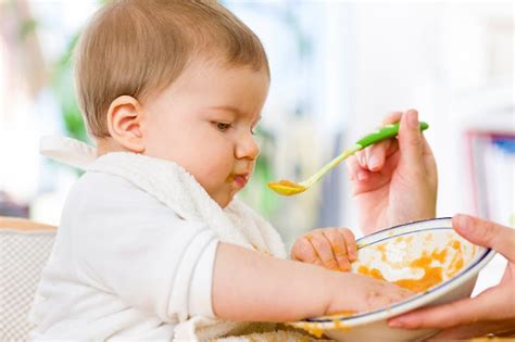 Es Correcto Dar Papillas A Beb S Menores De Seis Meses