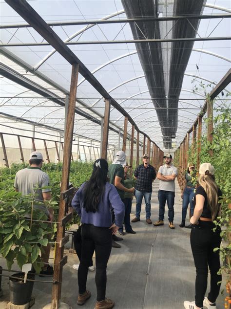 Estudantes De Agronomia Visitam Empresa Produtora De Sementes Campus