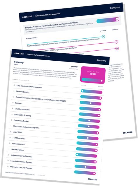 Esentire Cybersecurity Assessment Tool