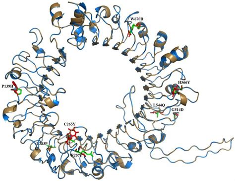 Structural Alignment Of Wild And Mutant Type TLR9 Proteins The C Alpha