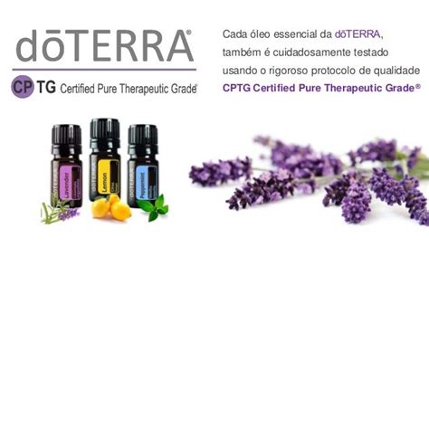 Doterra Apresentacao Do Plano De Negocios Doterra 2018 【baixar Pdf