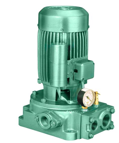 Texmo Shallow Well Jet Pump 1hp 7petals In