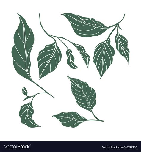 Chili Pepper Leaf Icons Set Hot Pepper Color Vector Image