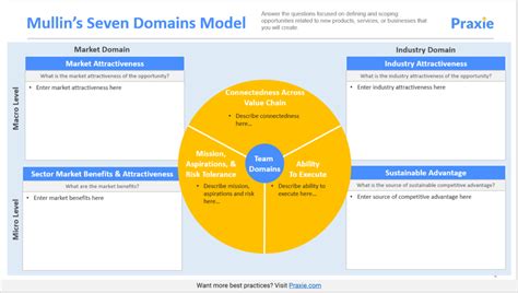 Mullins Seven Domains Model Template Strategy Software Online Tools