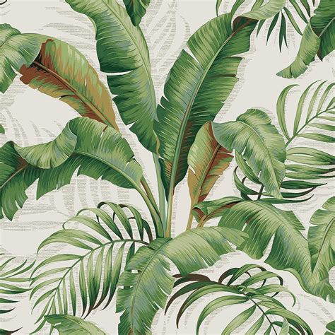 Tommy Bahama Premium Peel And Stick Wallpaper Designer Tropical Wallpaper For Bedroom Dorm