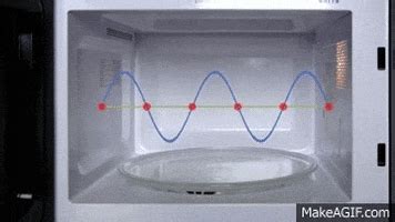 Microwave GIF - Find & Share on GIPHY