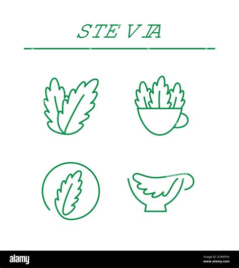 Stevia Leaves Icons Natural Stevia Sweetener Vector Illustration