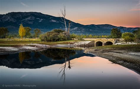 Bridge trees DSC7609 Lr Ignacio Ferre Pérez Flickr