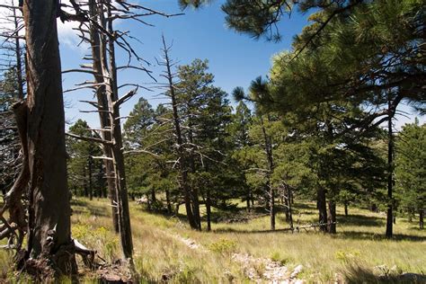 Hiking the Bush Mountain Trail at Guadalupe Mountains National Park