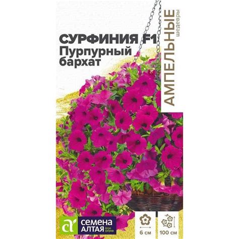 Петуния Пурпурный Бархат купить с доставкой в интернет-магазине Чистый Мир.