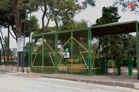 Accadde A Bari Ampliamento Della Pineta San Francesco E Scoprimento