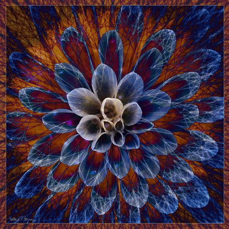 Blue Dahlia Digital Art by Barbara Berney | Fine Art America