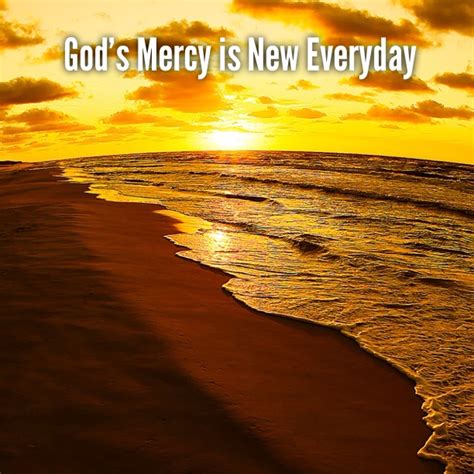 God’s Mercy and Our Mercy | Wholeness/Oneness/Justice