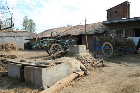 Dung ho! Gujarat villagers fired up about biogas