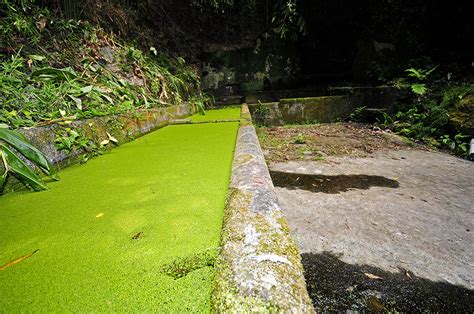 Siaram Aqueduto Da Fonte Do Sapateiro