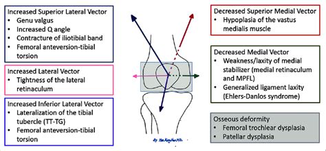 Risk Factors For Patellofemoral Instability Mpfl Medial