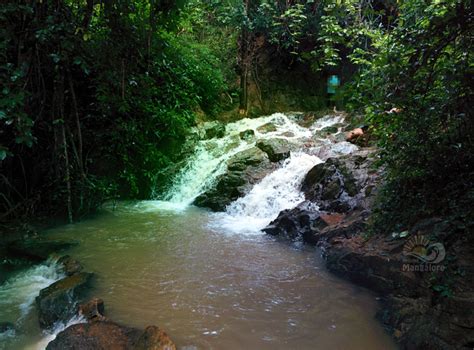 Adyar Waterfalls, Mangalore - Around Mangalore