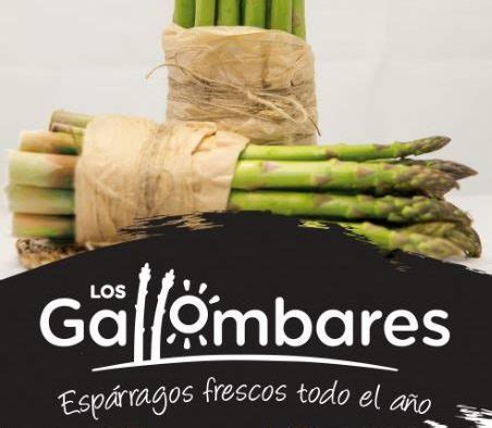 Los Gallombares avanza su nueva oferta de espárrago verde