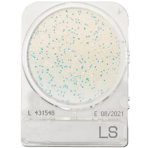 Compact Dry LS Listeria 40 Stk Food Diagnostics