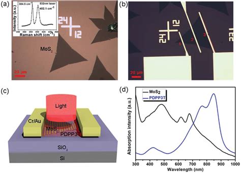 A The Optical Image Of Monolayer Mos Film On The Si Sio Substrate