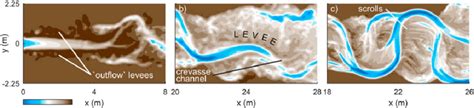 Illustrations of specific floodplain processes. (a) Levee formation... | Download Scientific Diagram