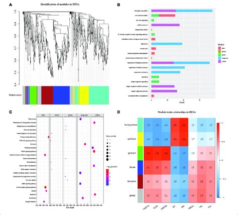 Identification Of Modules And Functional Annotation Analysis For The Download Scientific