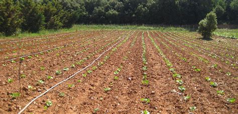 Demanen que les organitzacions agràries amb representativitat