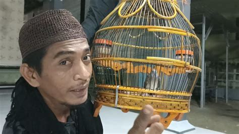 Burung Perkutut Semar Lunggu Kuburan Keramat Kupas Tuntas Mitos