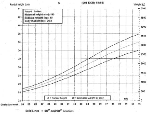 Fundal Height Twins Chart