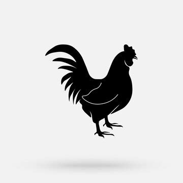 "Chicken Silhouette" Images – Browse 465 Stock Photos, Vectors, and ...