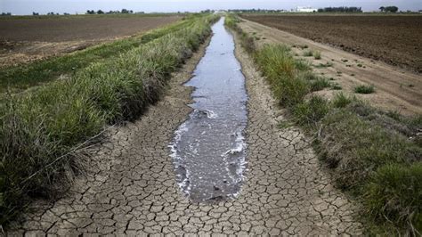 Uruguay Declaró La Emergencia Agropecuaria Por La Sequía Mmm Uruguay