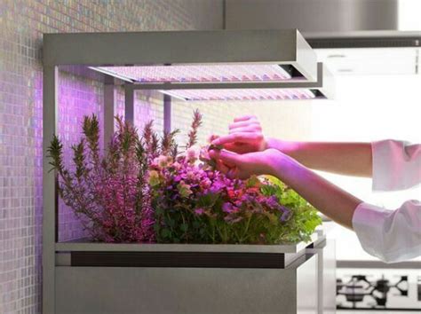 Here S Everything You Need To Know About Owning An Aerogarden Artofit