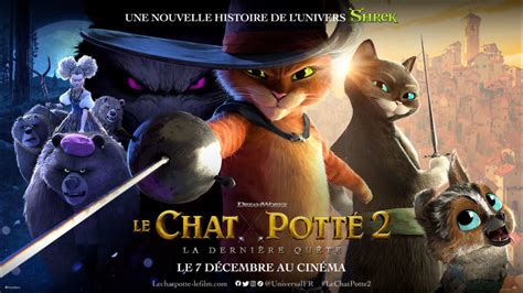 Le Chat Pott La Derni Re Qu Te Critique Du Film